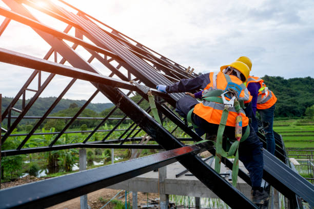 Professional Roofing Contractor in Dudley, NC