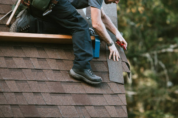 Quick and Trustworthy Emergency Roof Repair Services in Dudley, NC
